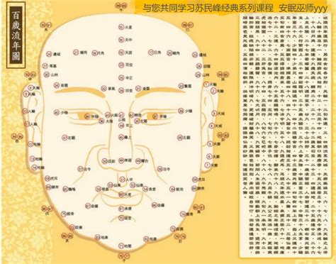 陰毛處理 峰生水起精讀班